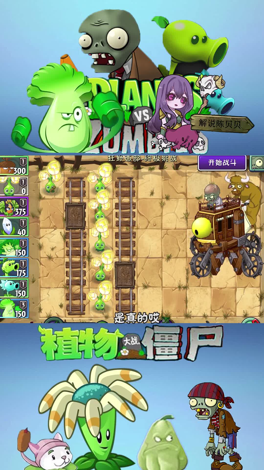 植物大战僵尸满屏黄金蓓蕾等于金色传说!