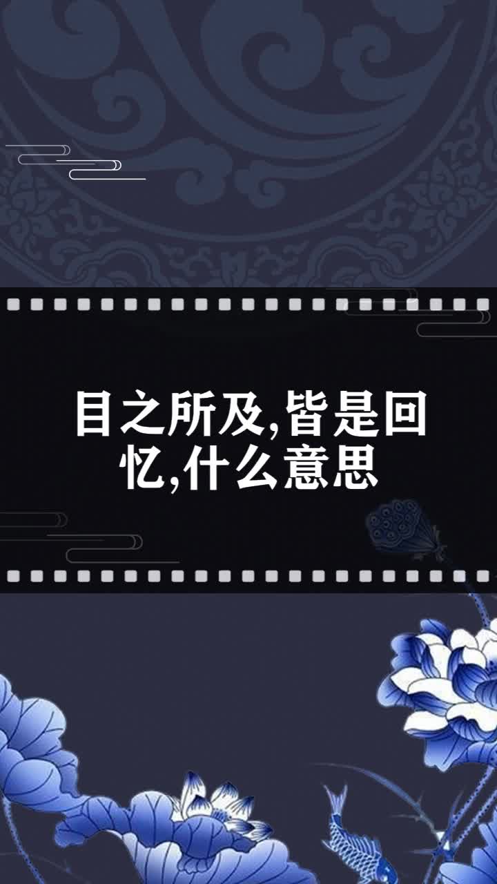 目之所及,皆是回忆,什么意思