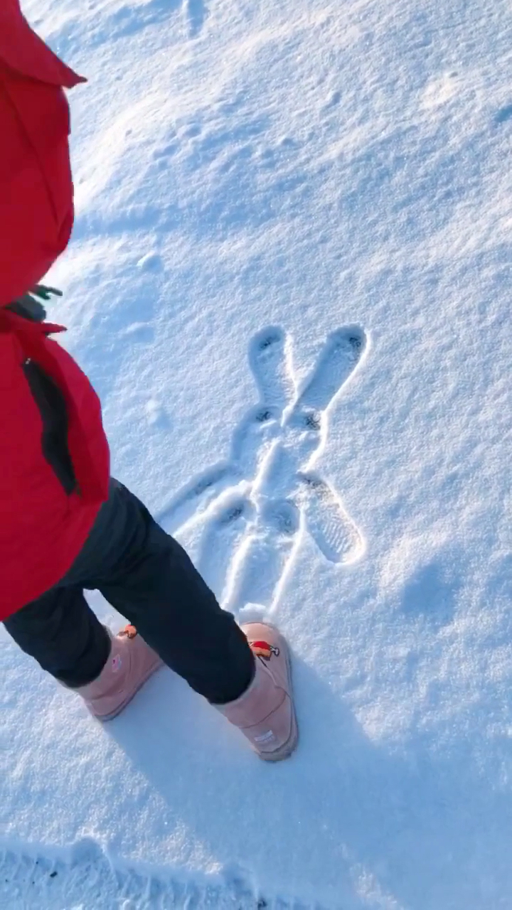 雪地里踩小兔子图片图片