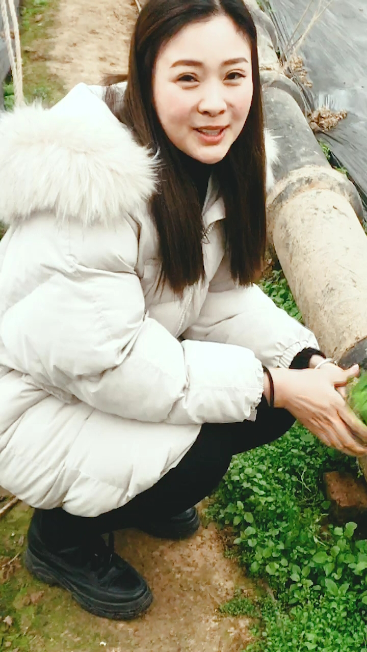 欢乐幸福年#雪妹拔草喂大鹅,没想到大鹅竟是这个反应