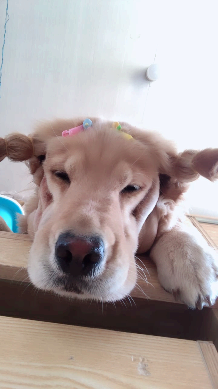 刚睡醒一脸懵的自己瞅着镜头 这谁啊?