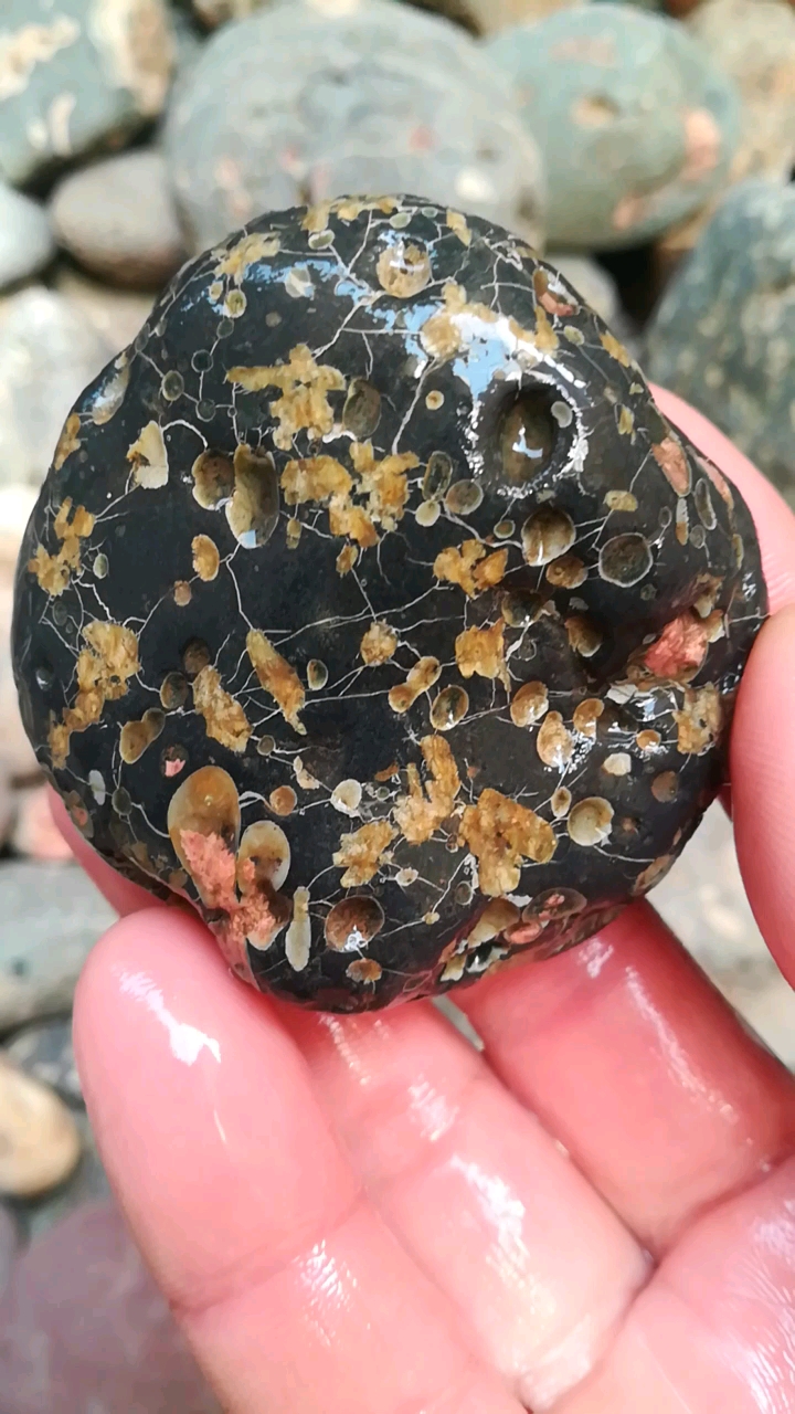 带上全民去旅行#梅花玉原石