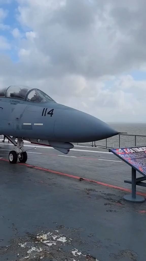 f14雄猫战斗机 最美战机