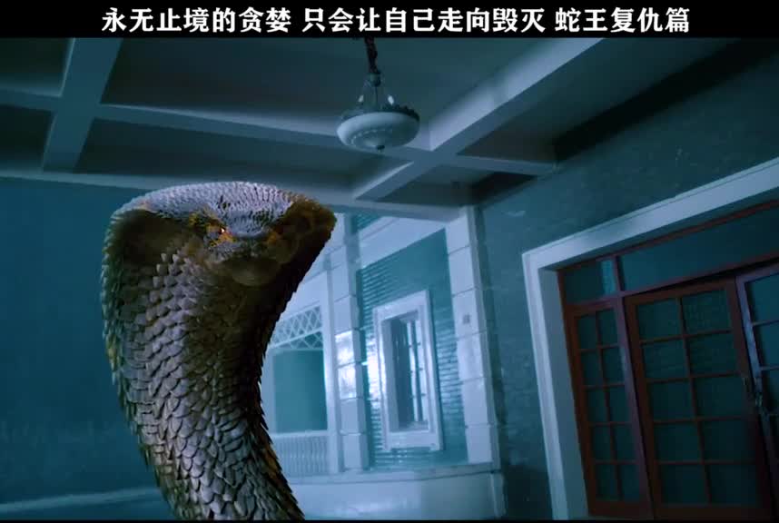 人类过度的开发资源导致蛇群的疯狂报复蛇王复仇篇(下)