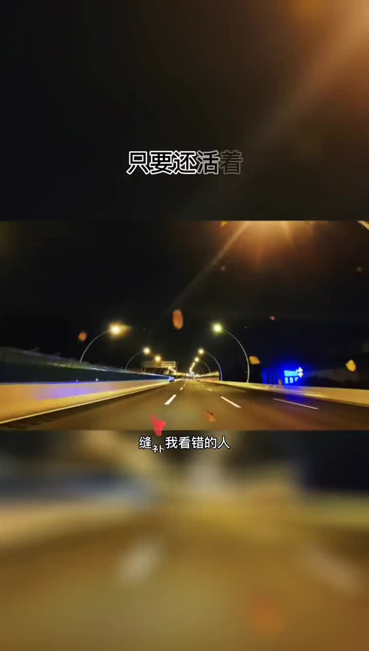 承受了很多无奈和心酸,落魄的狼狈不堪,但都无所谓,只要还活着,就有