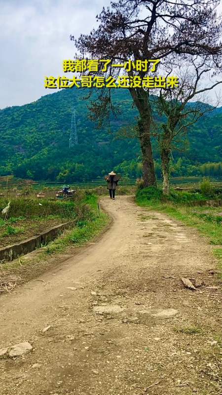 多年以后,当你再次回到家乡,突然你会发现,你一直思念的不是故乡,而是
