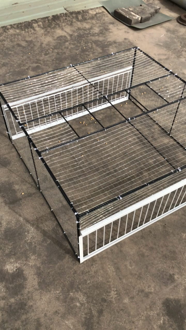 好物推荐#升级款拼装迷你小鸽舍,加了支柱,更结实,更耐用.