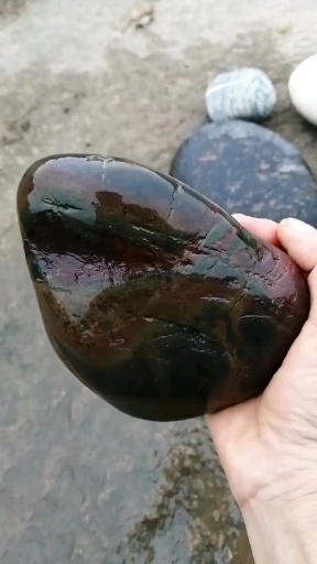 河边巧遇黑心石