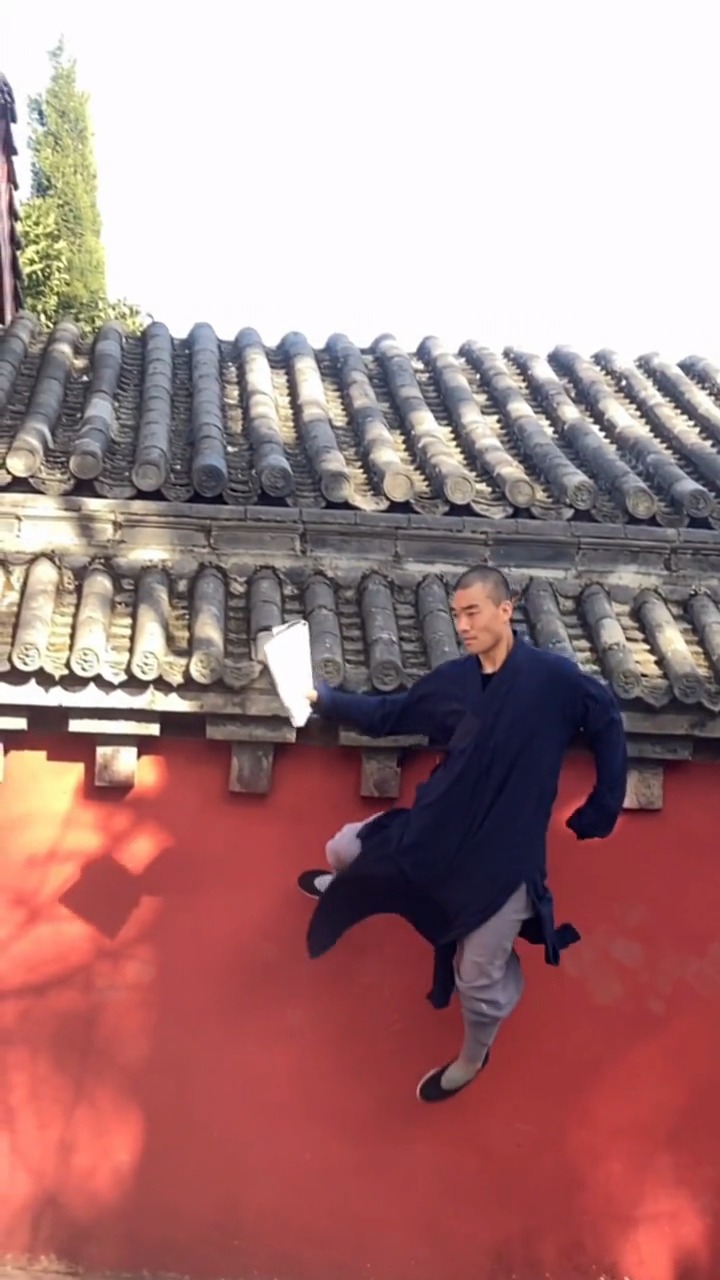 少林功夫#轻功墙上飞,从未嘚瑟,只为宣扬传承