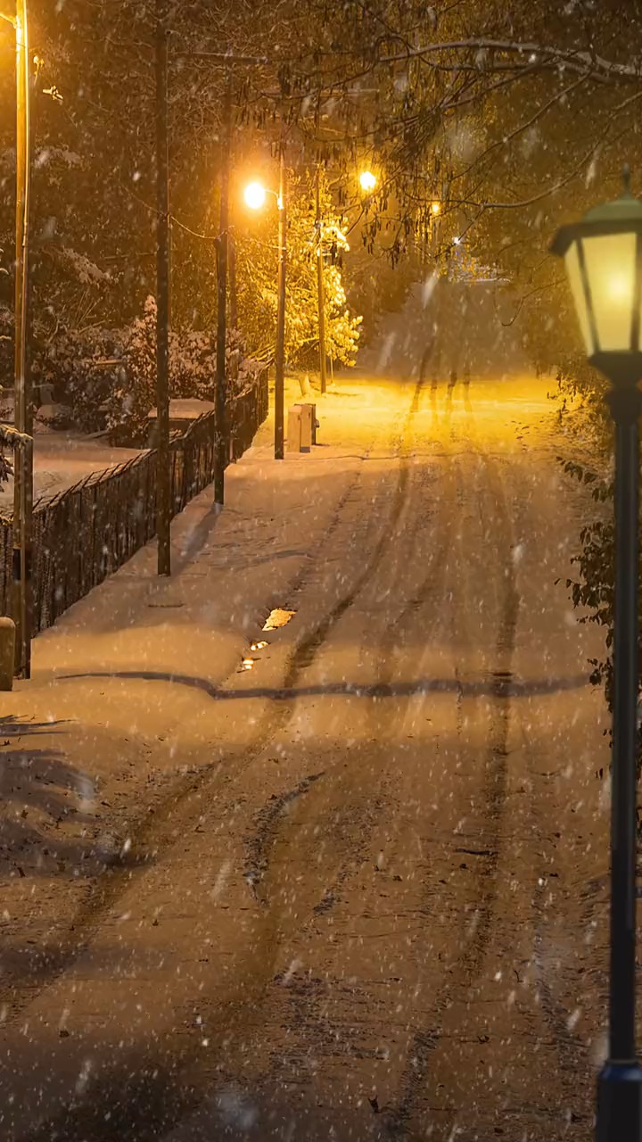路灯为什么是暖色,大概是为了温暖每一位晚归的人吧,希望我的作品能够