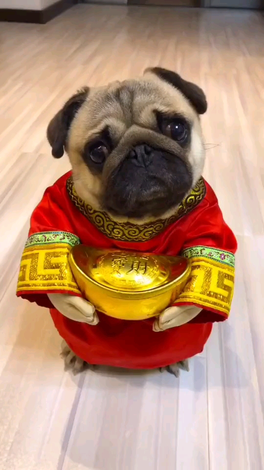 留下你的评论,都发大财了哈哈哈