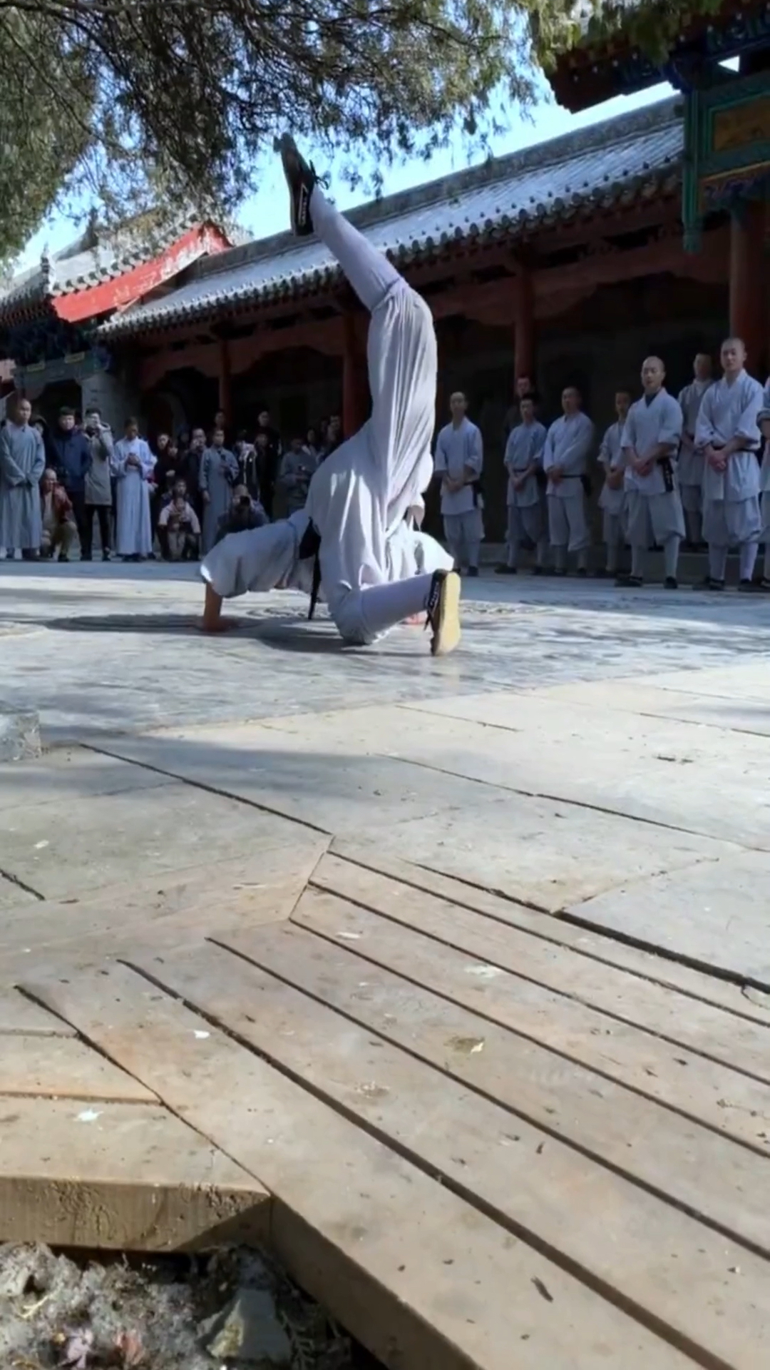 少林罕见功夫  蝎子拳法