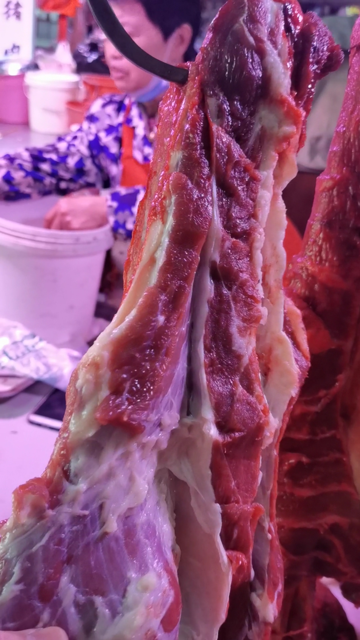 牛肉和马肉的区别图片图片