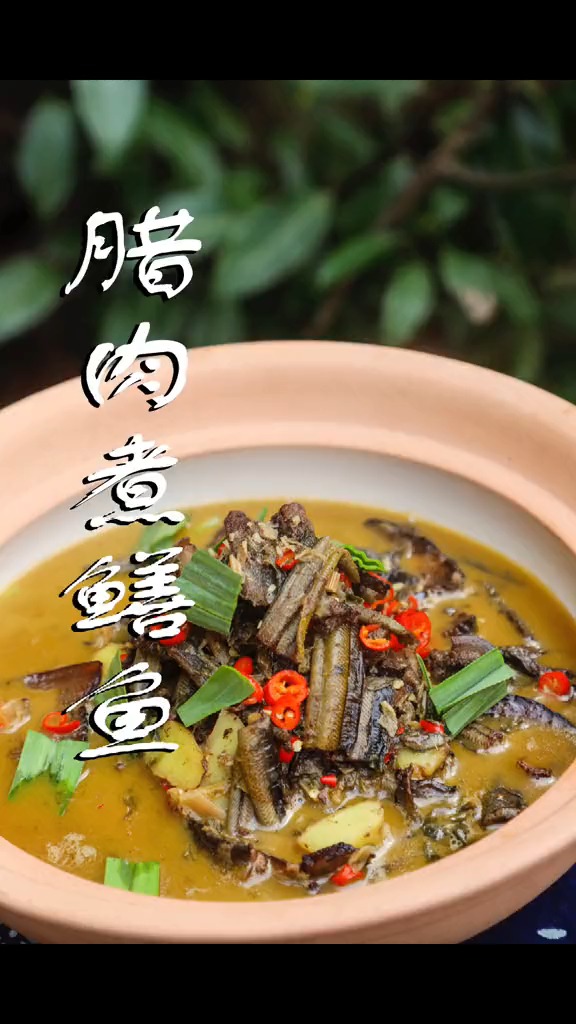 轻知计划#第五道鳝鱼美食【腊肉煮鳝鱼】做的不好仅供参考
