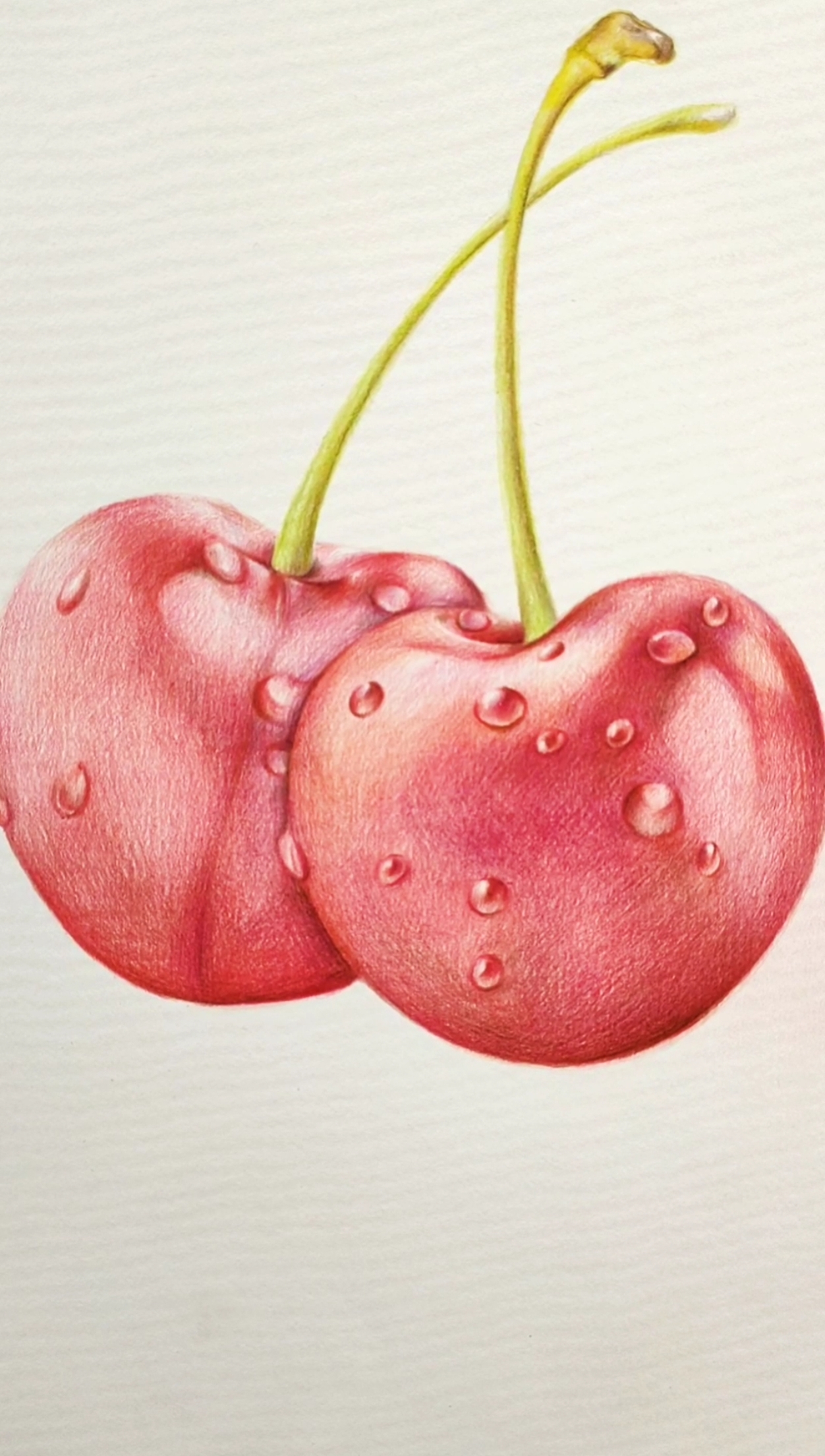 画画原来如此简单#彩铅手绘樱桃,到了吃樱桃的季节啦!