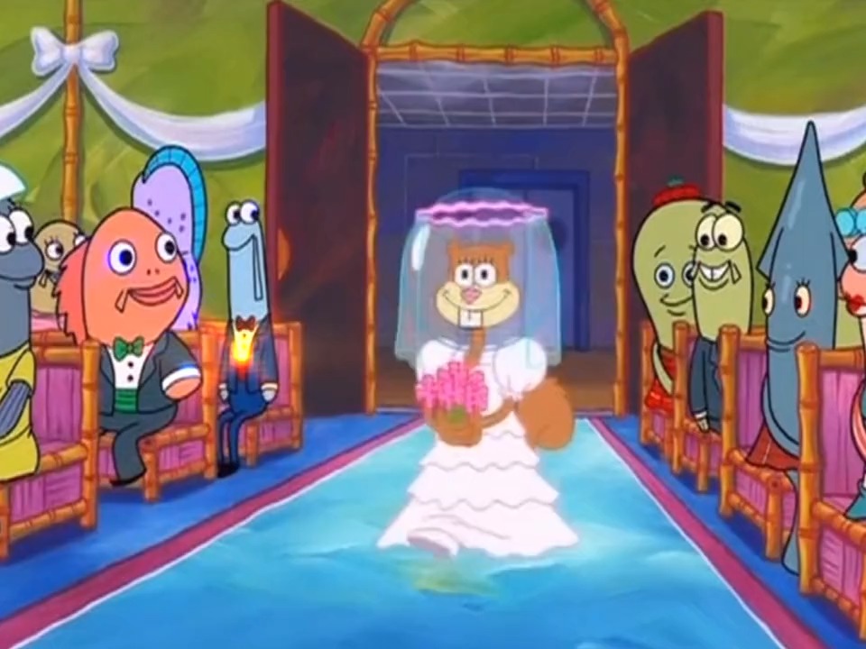 海绵宝宝与珊迪结婚 ,海绵宝宝