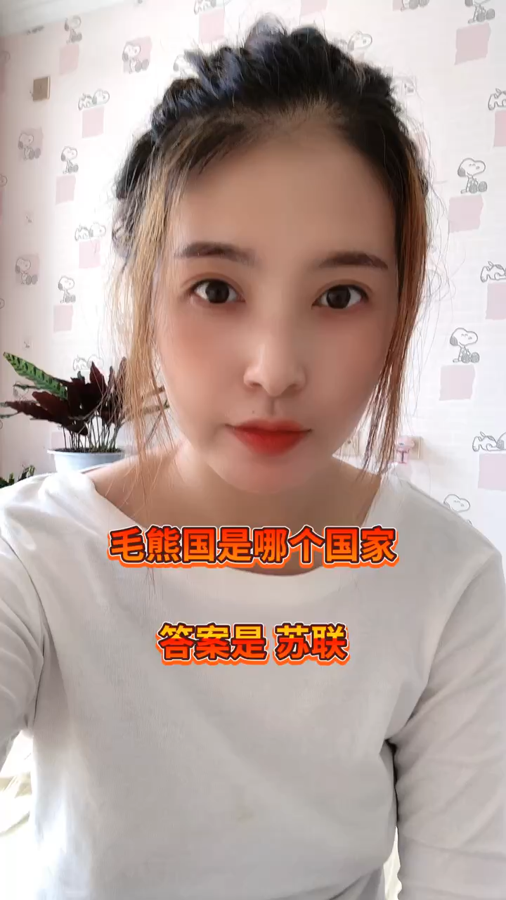毛熊国是哪个国家