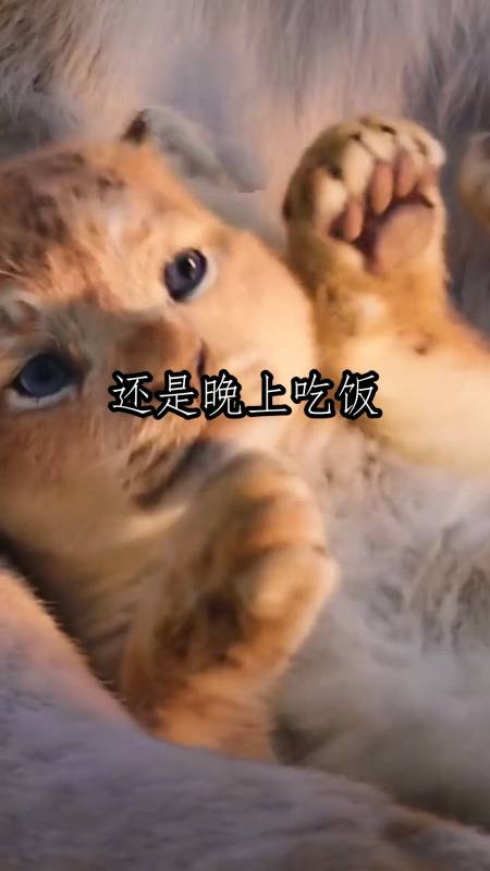 端午节是中午吃饭还是晚上吃饭