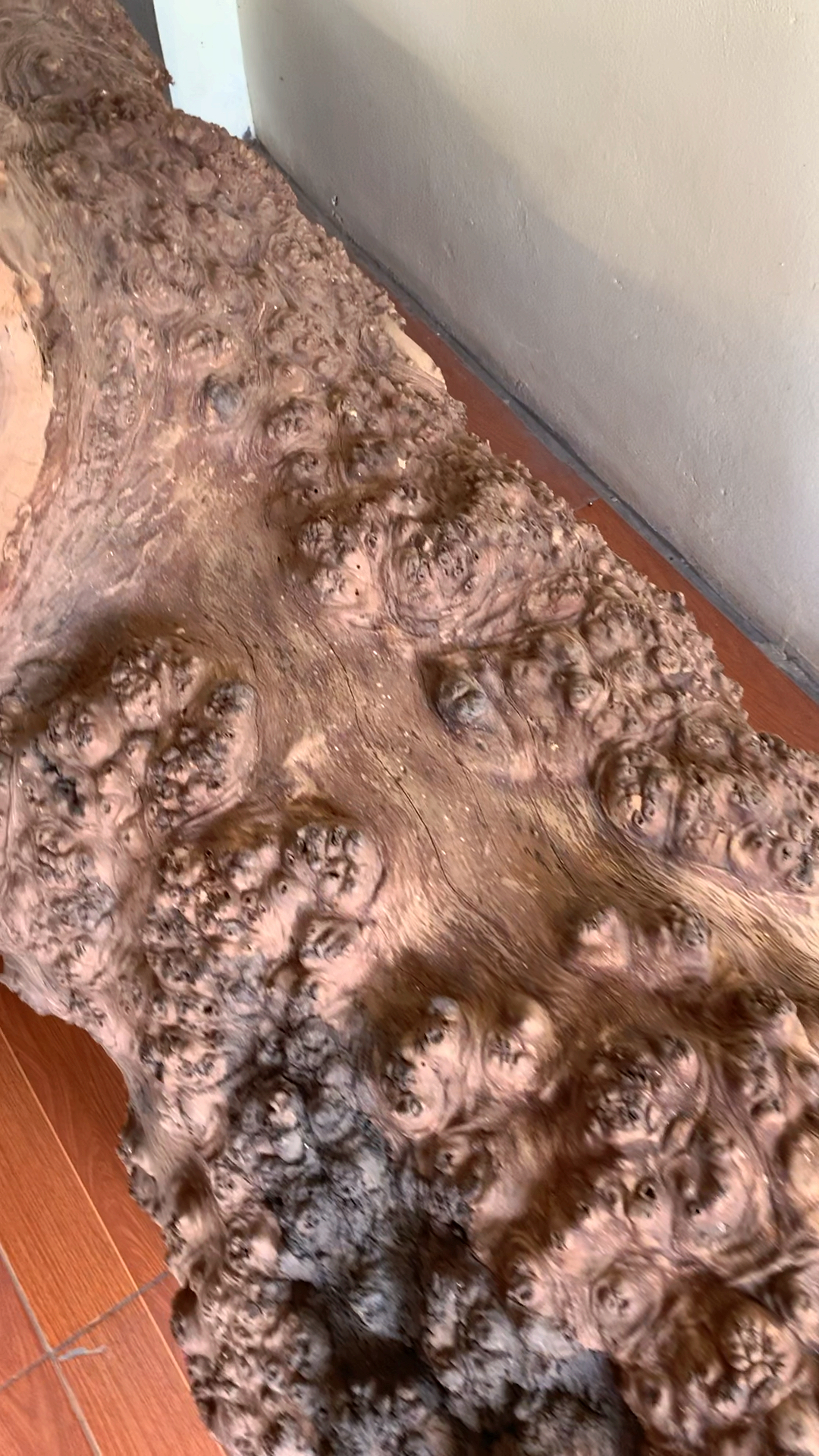 缅甸花梨极品瘿瘤木