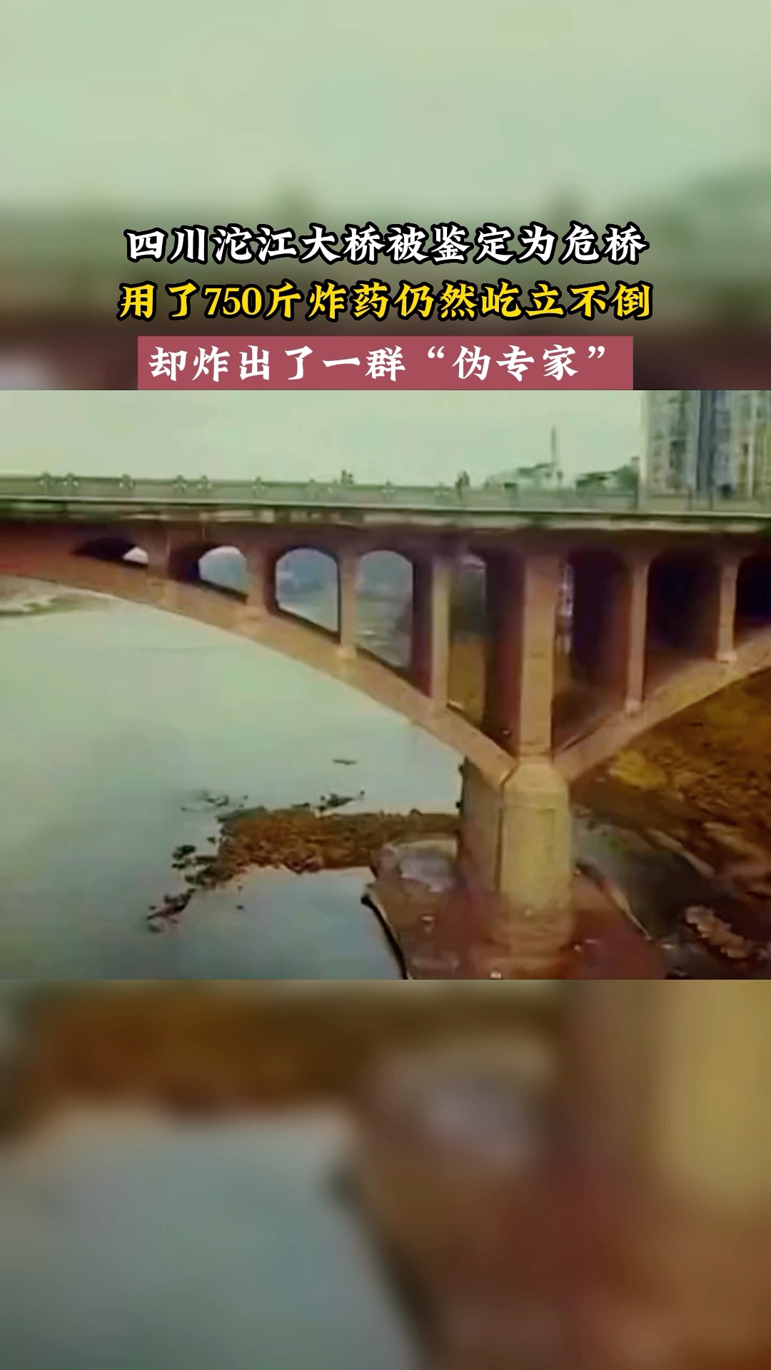 奇闻趣事抢先看四川沱江大桥被鉴定为危桥爆破拆掉时却炸出了一群伪
