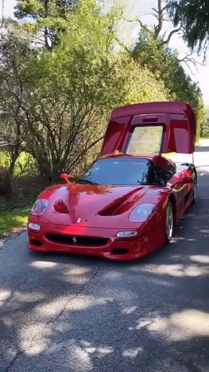 法拉利拉法 法拉利恩佐