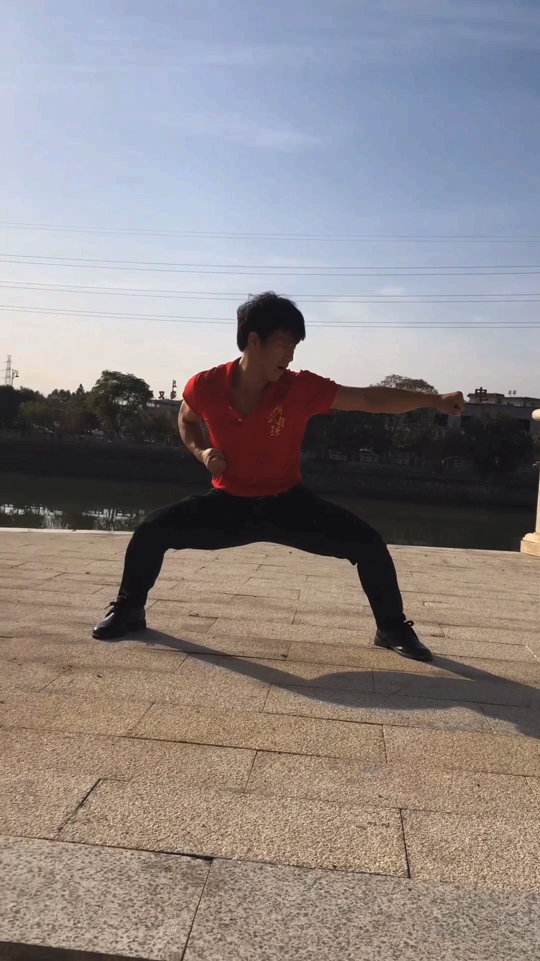 霍元甲的徒弟表演迷踪拳