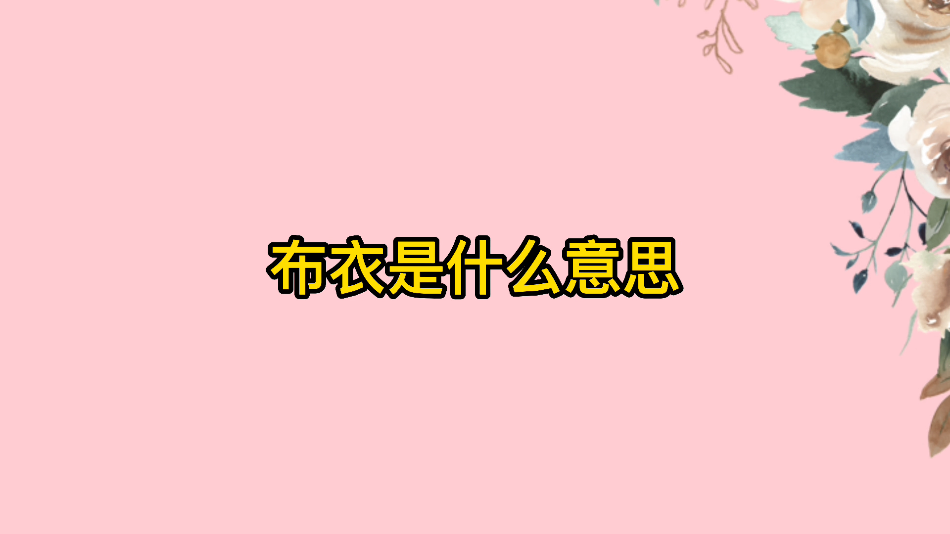 布衣是什么意思#你学会了吗?