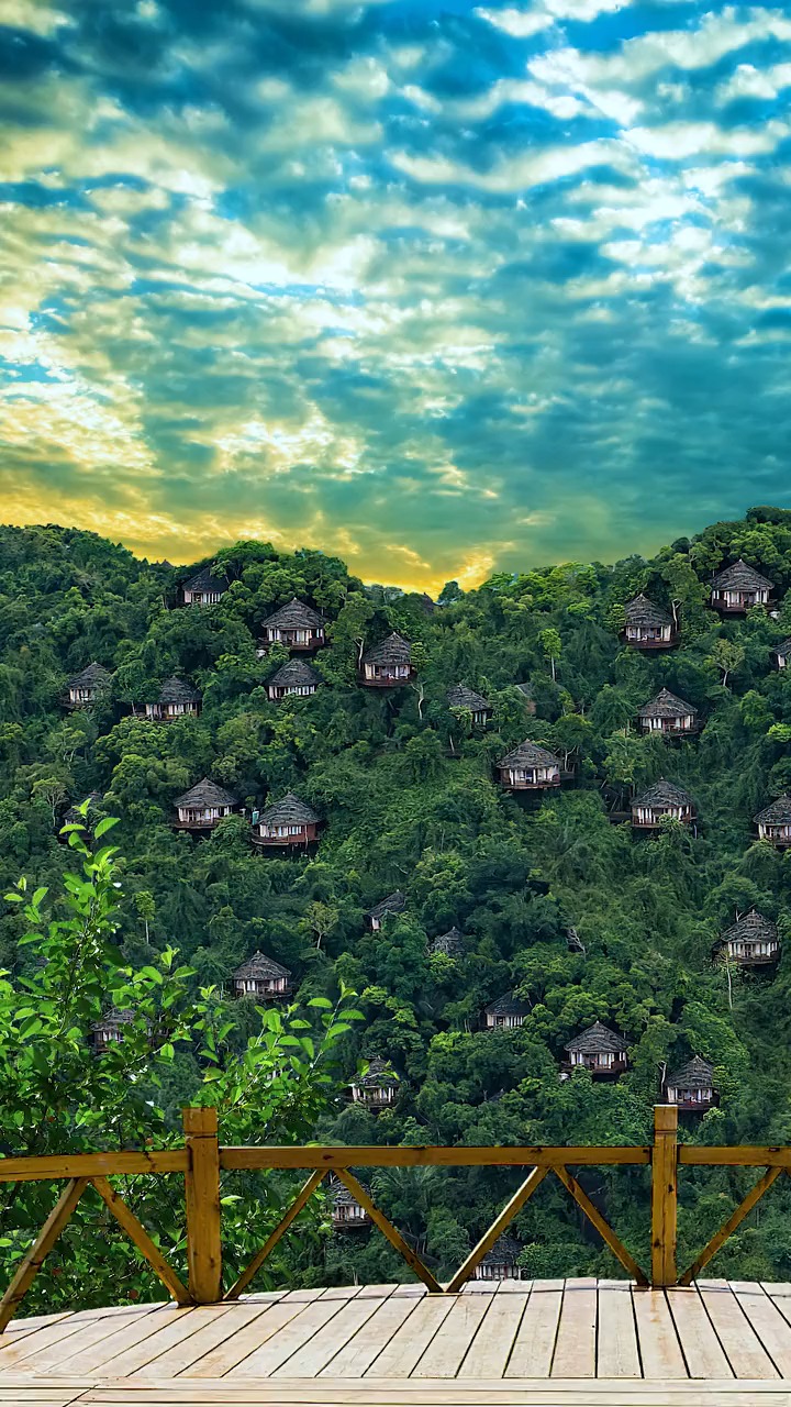 海南三亚鸟巢度假村,每间都是独栋别墅,隐藏在原始森林中,面朝大海,你