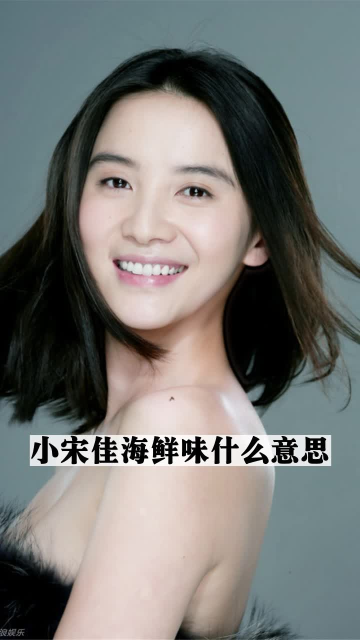 小宋佳海鲜味什么意思
