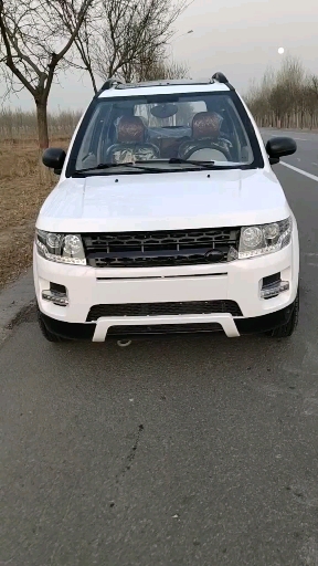 电动小飞虎