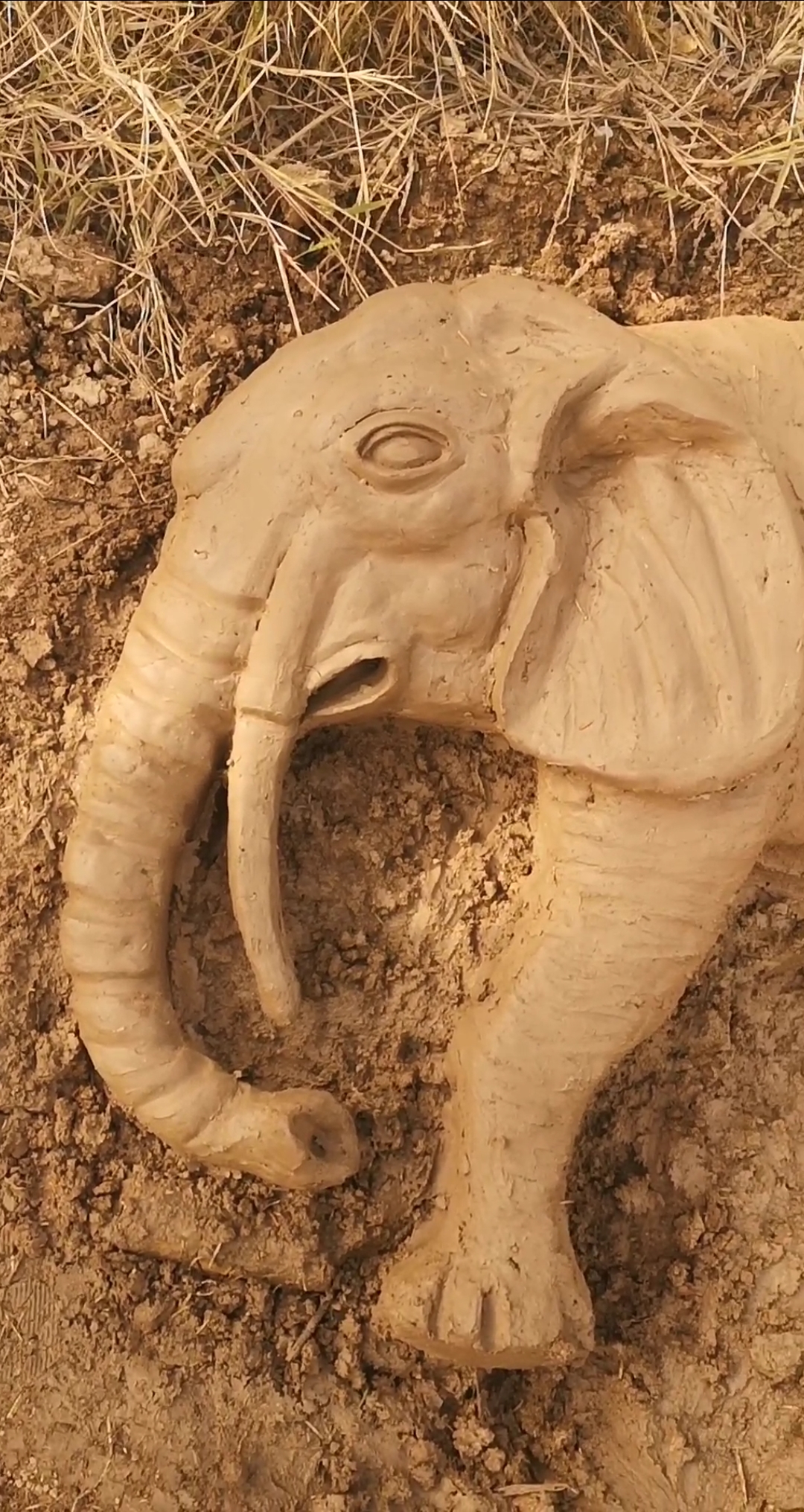 寻找最牛手艺人#泥巴捏大象.完.