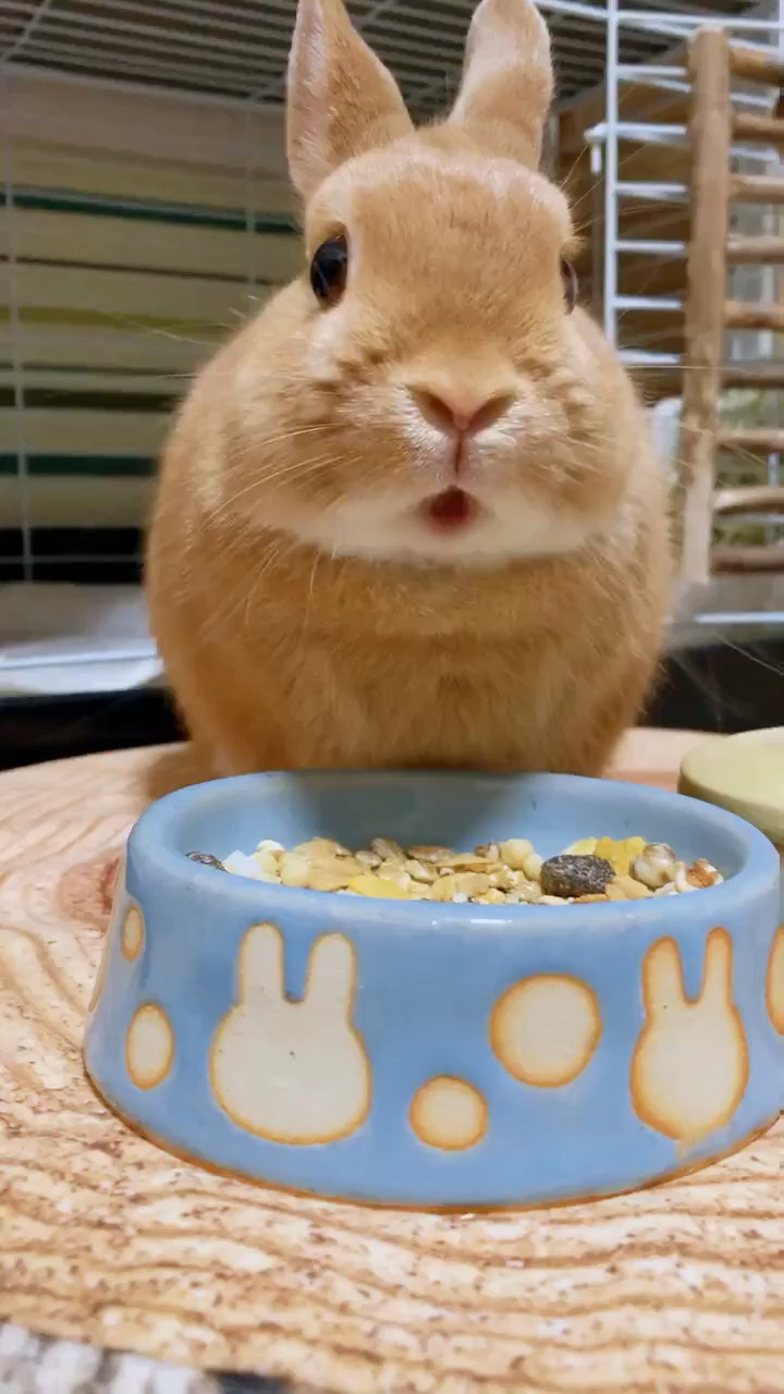 吃东西的时候好可爱吖