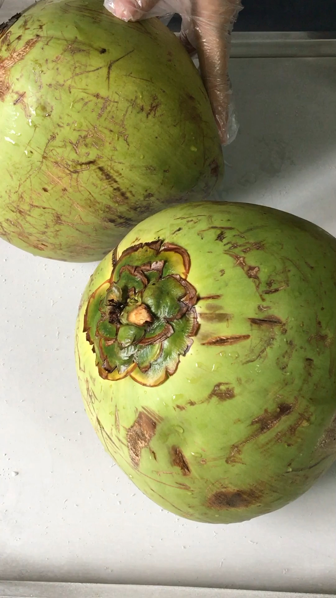 舌尖上的旅行#两个新鲜的椰子,拍拍看熟了没有