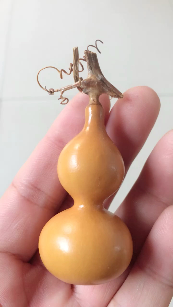 我怎么这么好看#精品葫芦欣赏