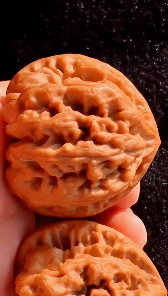 文玩核桃#44野生大粗筋狮子头