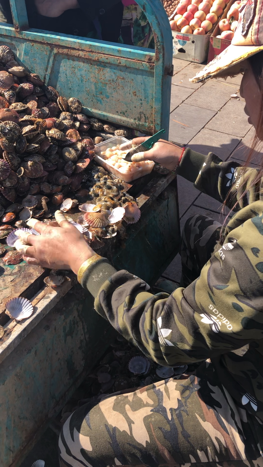 熟练工种.在东戴河市场上看见剥扇贝的阿