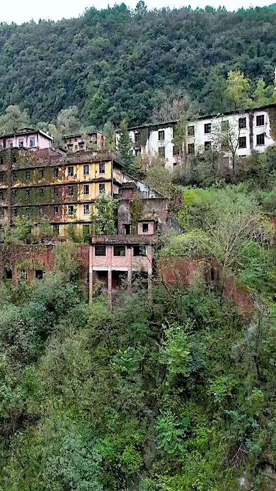 四川悬崖上的无人村杂草丛生一片废墟这里到底发生了什么