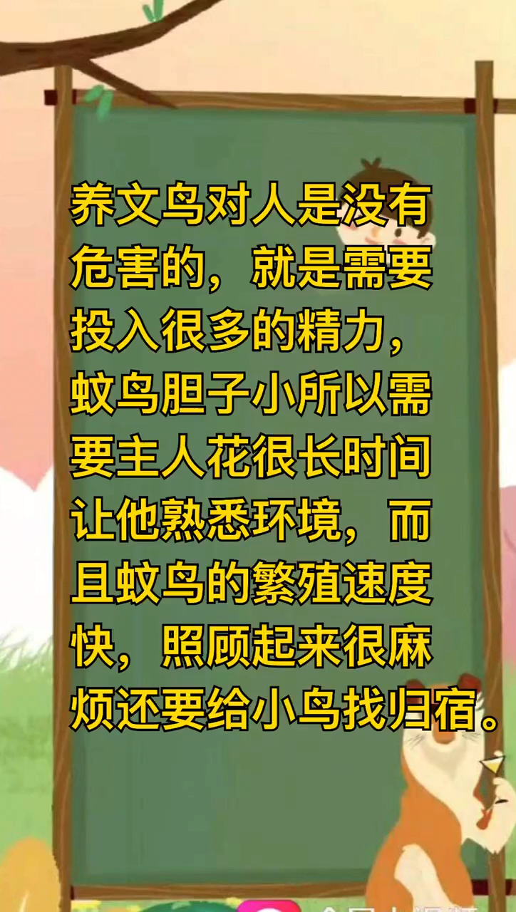 养文鸟对人的危害!