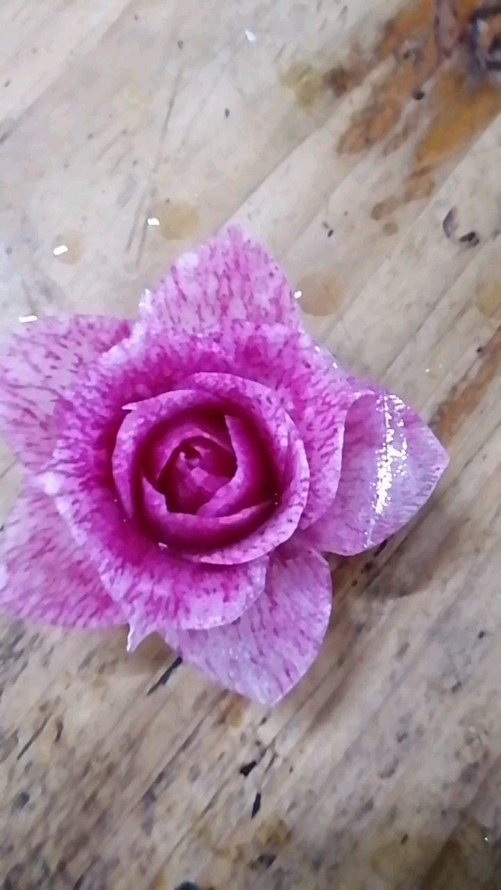 萝卜花,紫色的哦