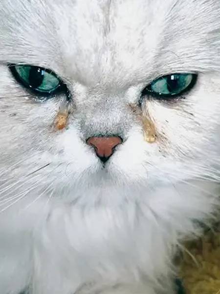 拍完之后第1件事就是把这两滴眼泪擦掉下午到我这里的我想应该是想念