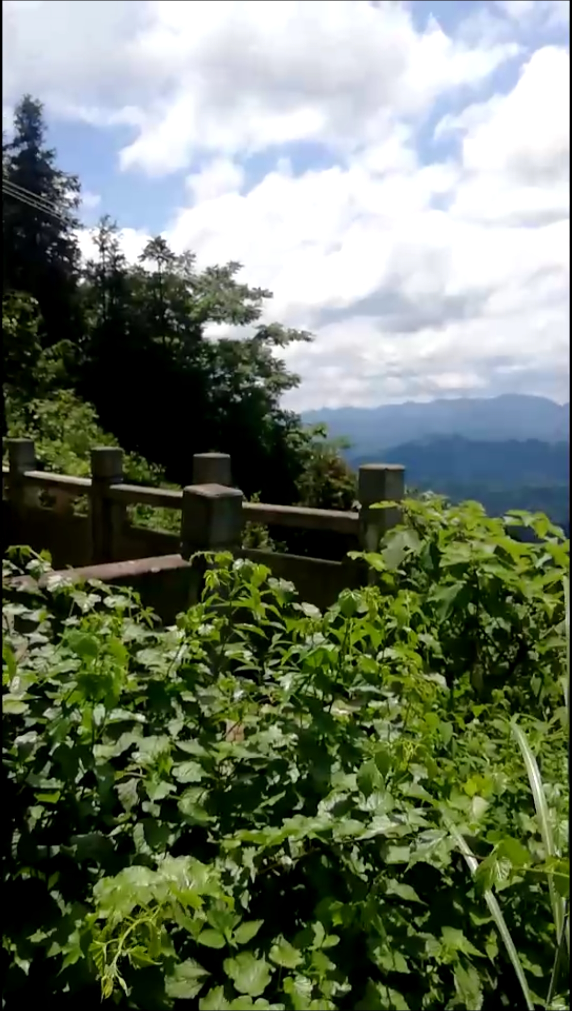夏日旅行目的地#庐山最佳观景台