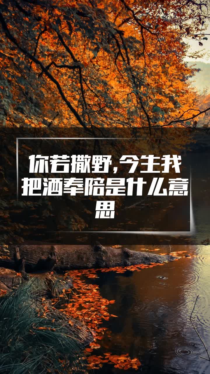 你若撒野,今生我把酒奉陪是什么意思