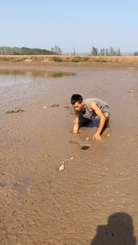 2020-11-06 0举报 鳝家大娃今