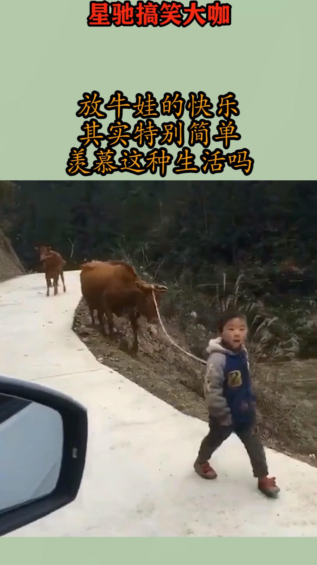 搞笑视频#放牛娃的快乐,其实特别简单,羡慕这种生活吗