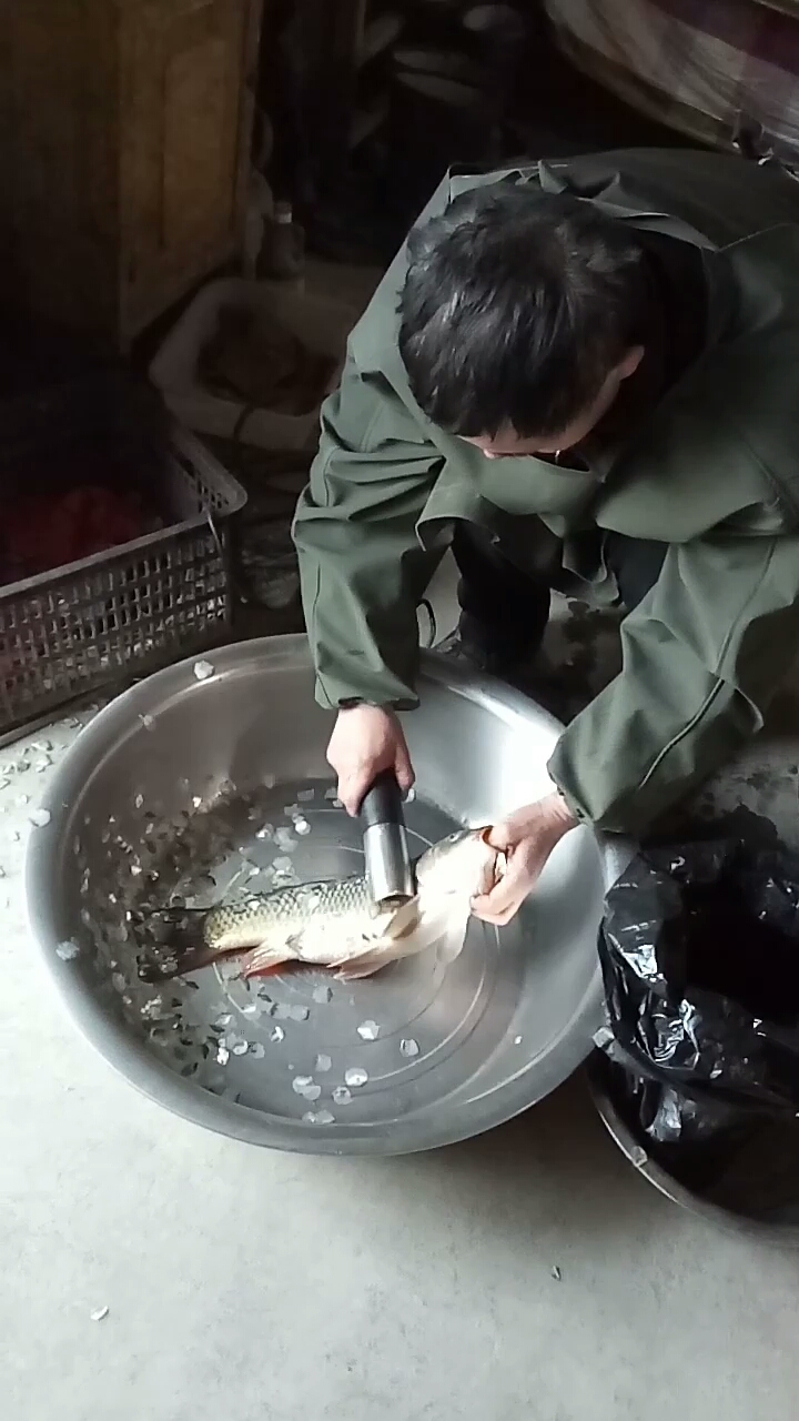 这样的刮鱼神器真好,省不少劲