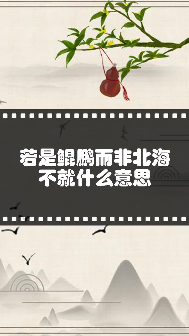 若是鲲鹏而非北海不就什么意思