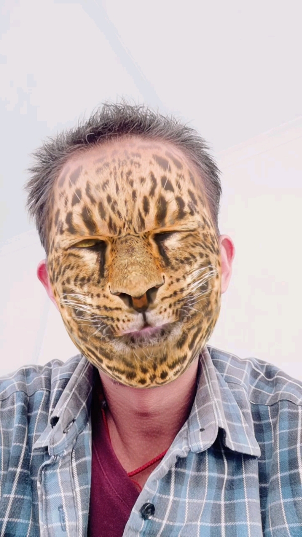 都说人面兽心,那么兽面就是人心咯