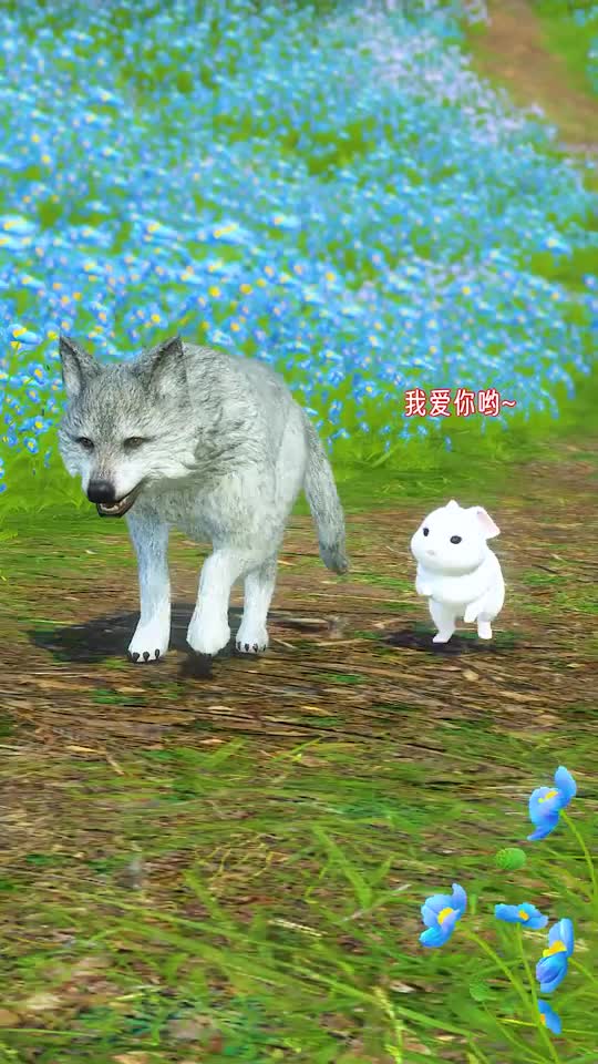 小白兔与大灰狼每天狗粮不能停