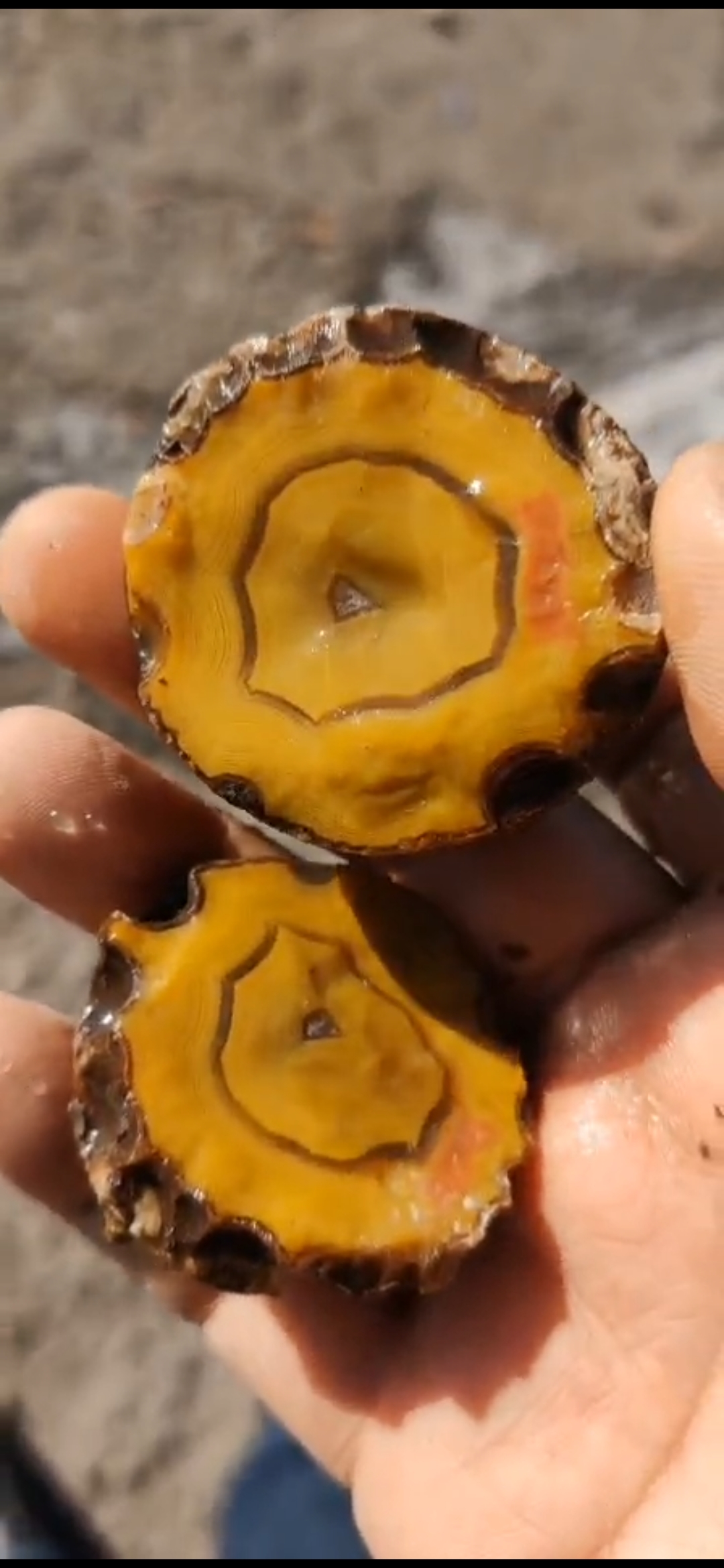 战国红玛瑙原石鸡油黄玛瑙平安扣雕刻料