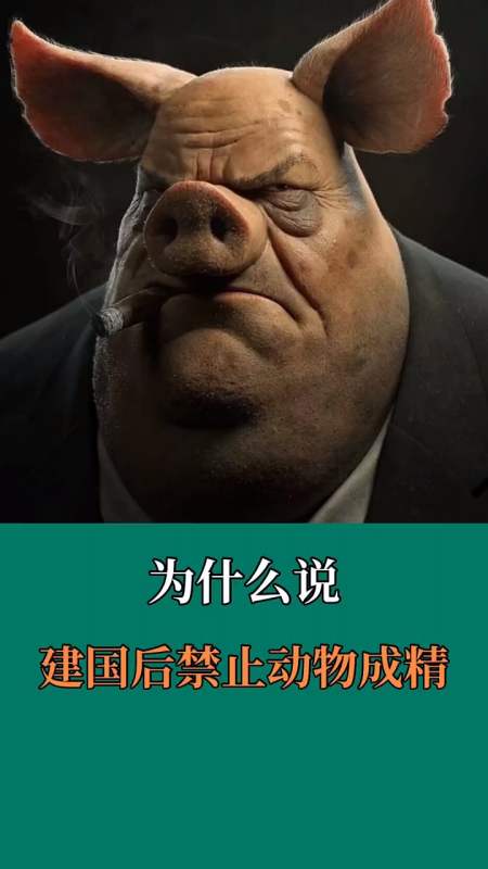 為什麼說